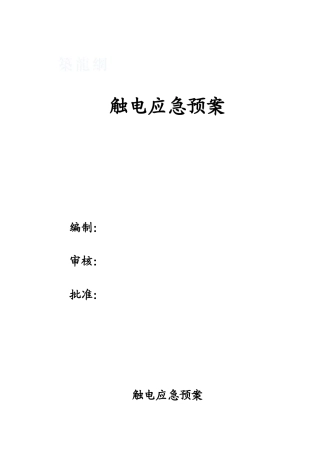 项目部触电应急预案