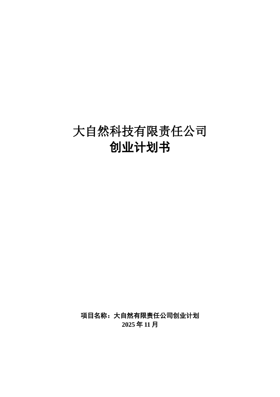 风云炫彩系列便携式空气净化器创业计划书_第1页