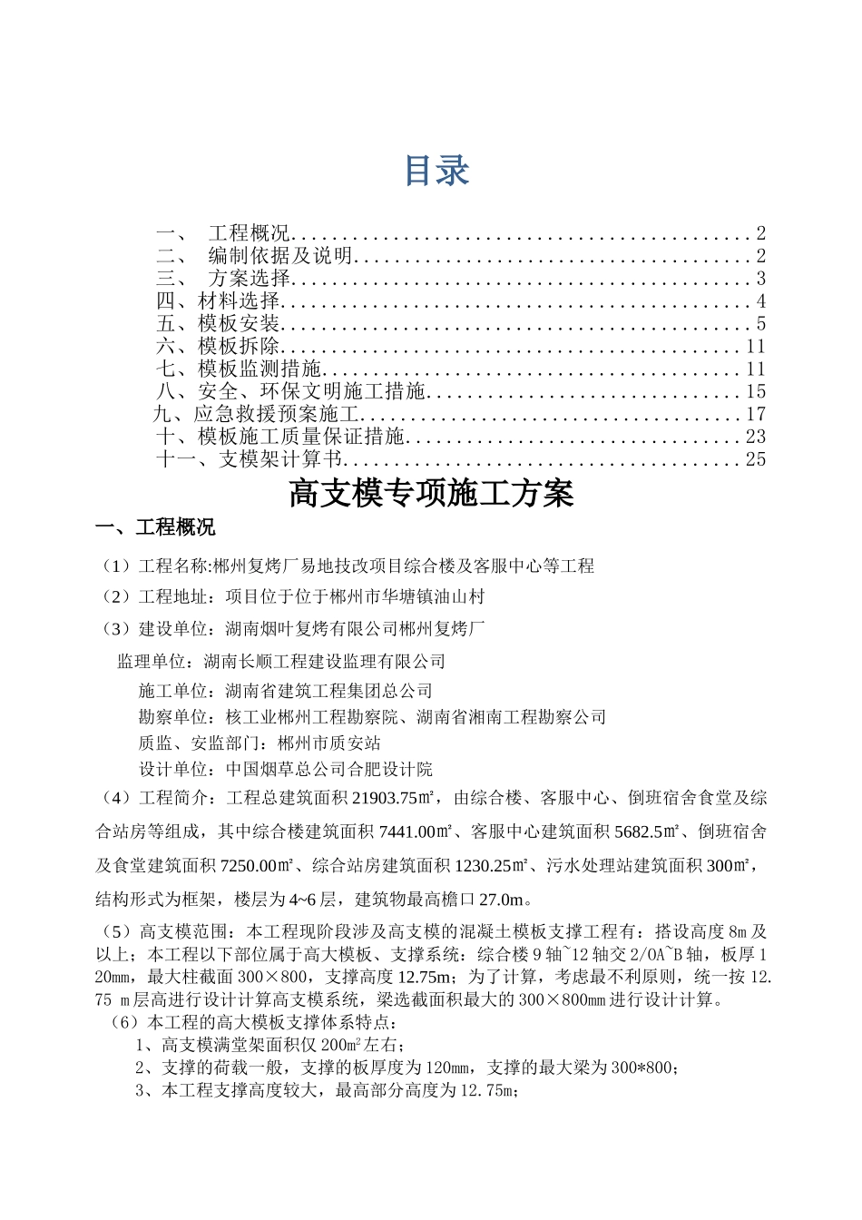 高支模专项施工方案(专家论证)_第1页