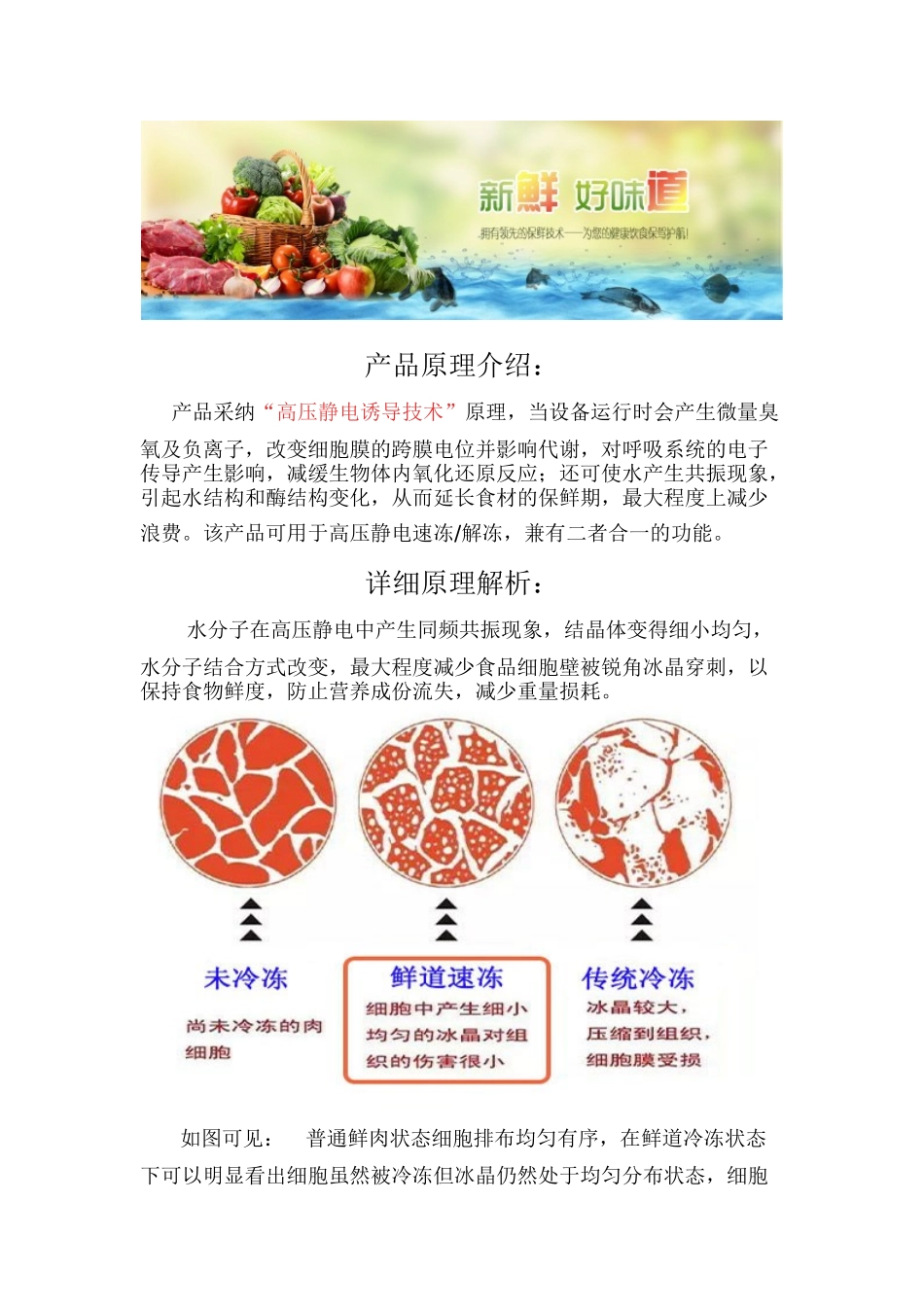 鲜道科技静电发生设备食品保鲜技术_第2页