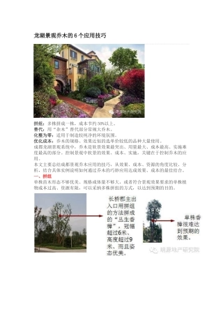 龙湖景观乔木的6个应用技巧