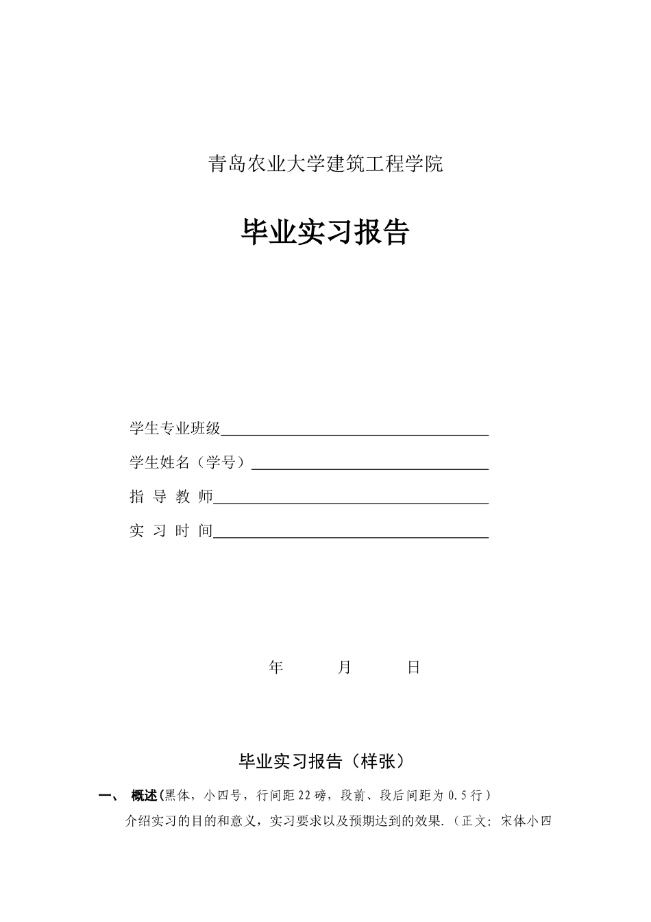 10年实习报告格式_第2页