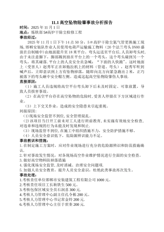 11.1高空坠物险肇事故分析报告