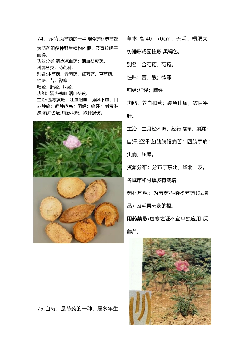 175种常用中药大全彩图_第1页