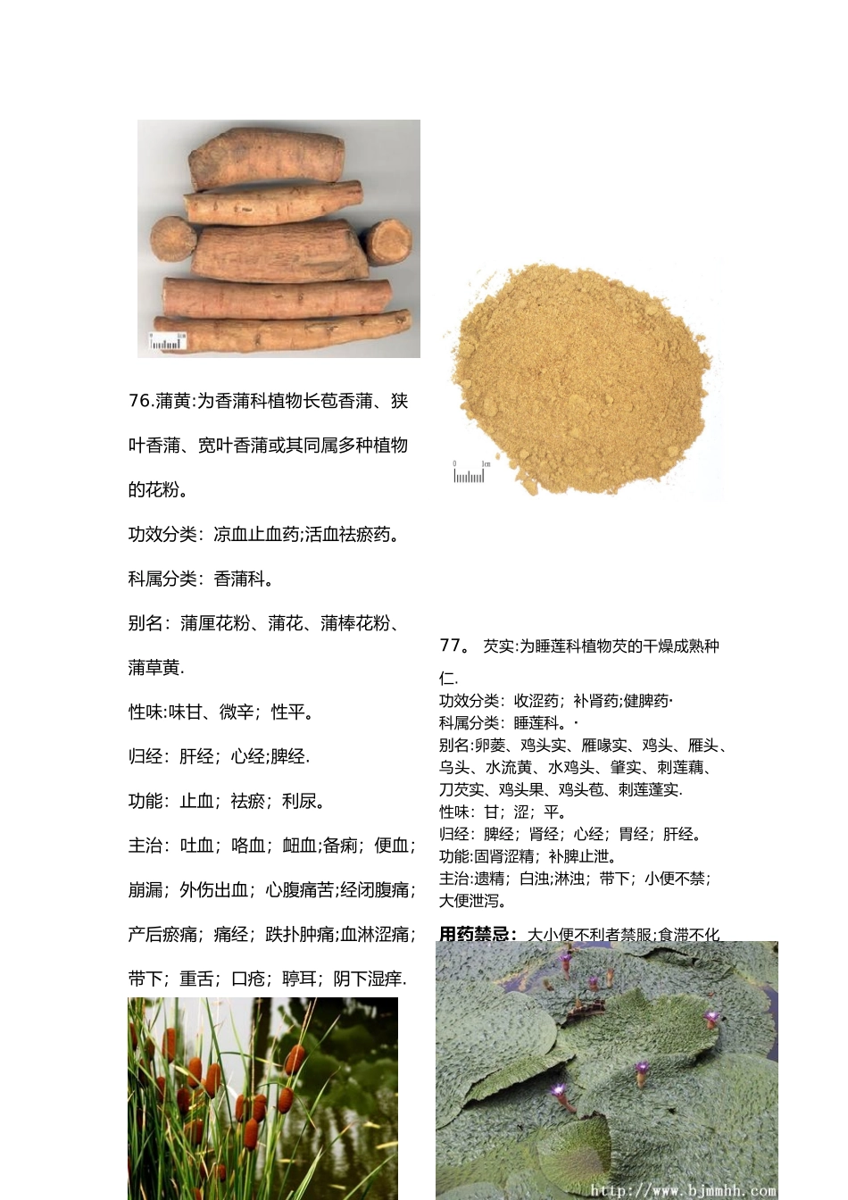 175种常用中药大全彩图_第2页
