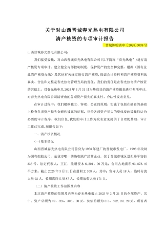 2-2025清产核资审计报告