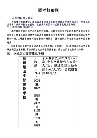 2010年团总支团考核细则