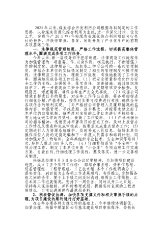 2010年工作总结2025年工作思路安排