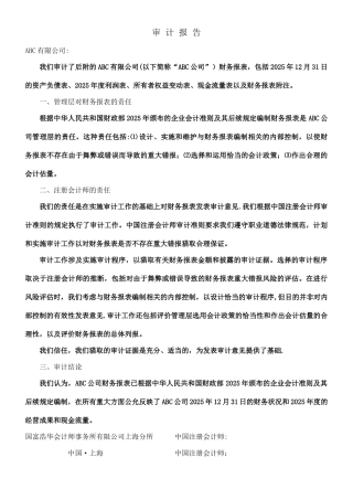 2010年度财务报表审计报告正文