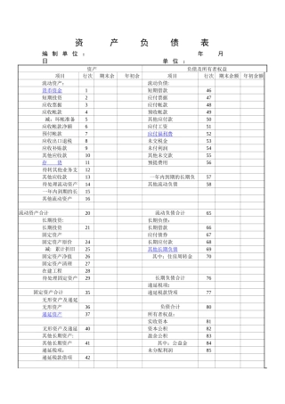 2010资产负债表表格下载