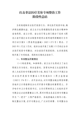 2025-04-29--打击非法医疗美容专项整治工作阶段性总结