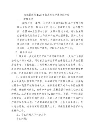 2025临床路径季度总结