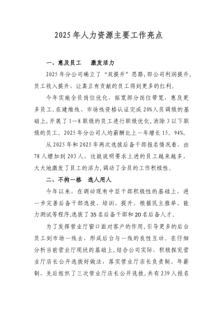 2025年人力资源主要工作亮点