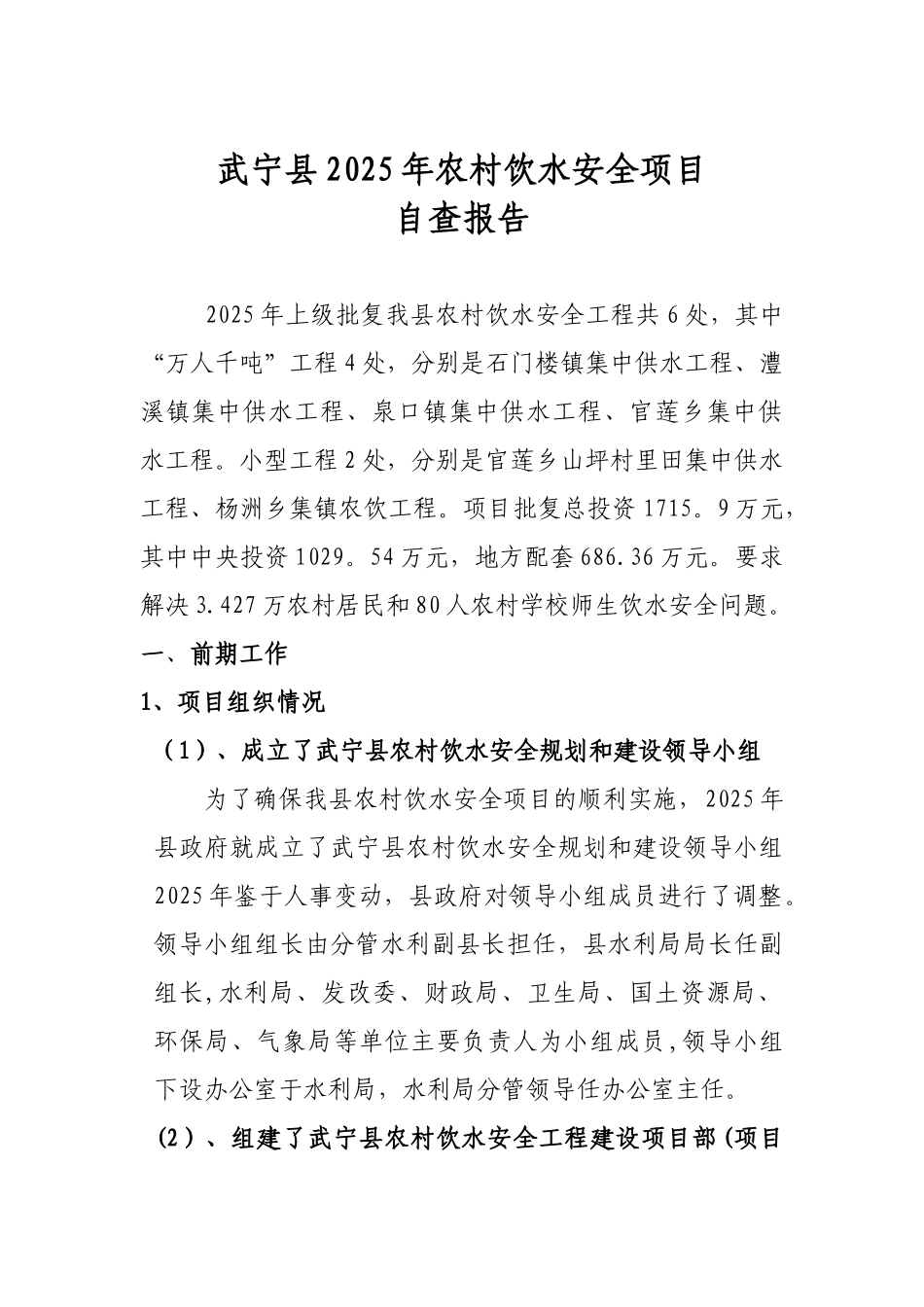 2025年农村饮水安全项目自查报告_第1页