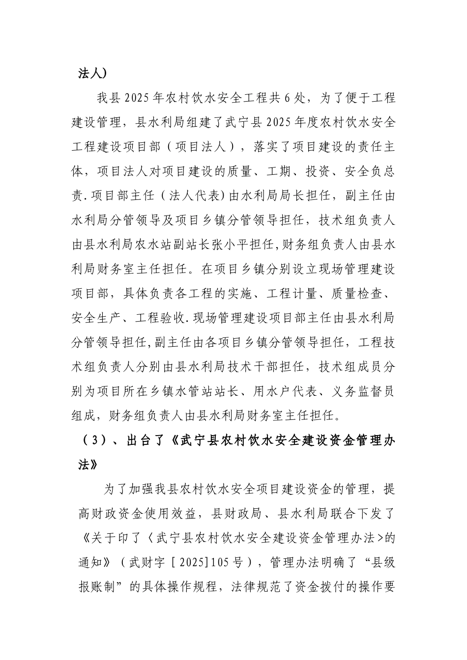 2025年农村饮水安全项目自查报告_第2页