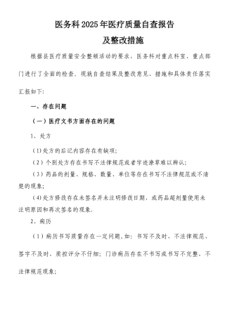 2025年医疗质量自查报告
