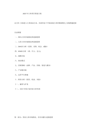 2025年大米项目策划方案