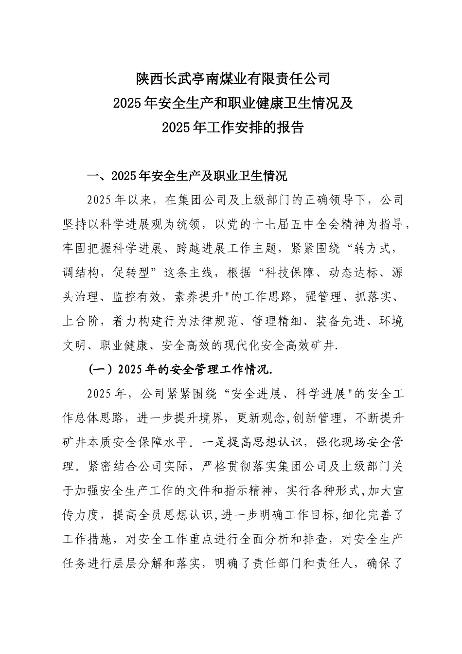 2025年安全生产和职业卫生情况报告--_第1页