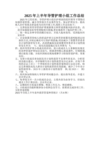 2025年导管护理小组工作总结
