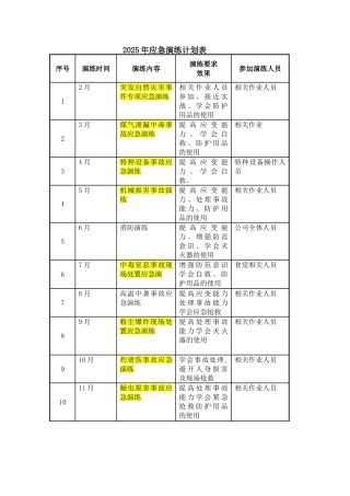 2025年应急预案演练计划表