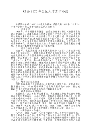 2025年度三区人才工作总结