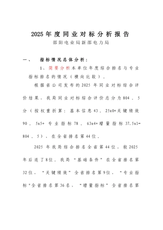 2025年度同业对标分析报告