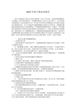 2025年度大修总结报告