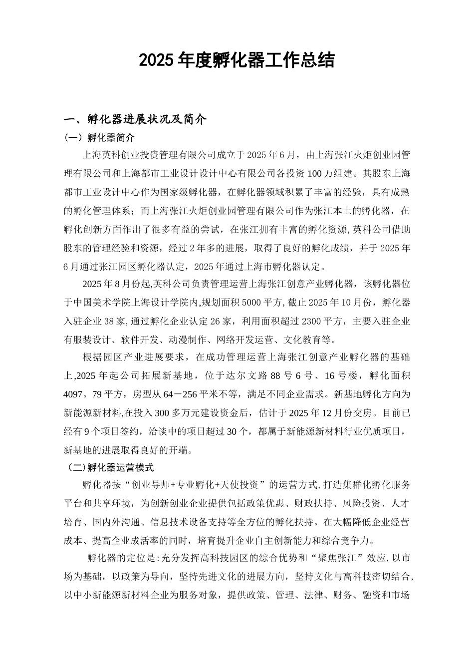 2025年度孵化器年度工作总结_第1页
