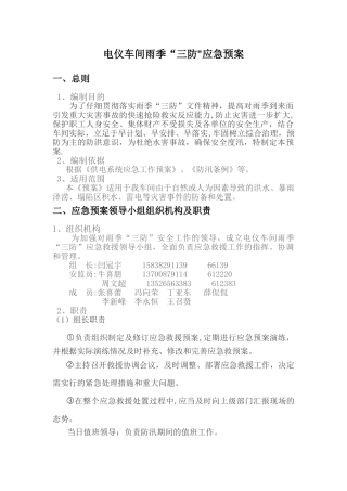 2025年电仪车间雨季“三防”应急预案