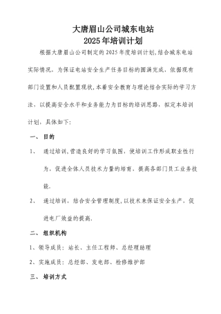2025年电站培训计划