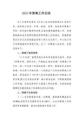 2025年禁毒工作总结