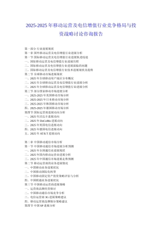 2025年移动运营及电信增值行业竞争格局与投资战略研究咨询报告