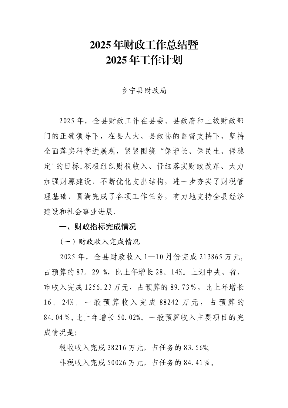 2025年财政工作总结暨_第1页