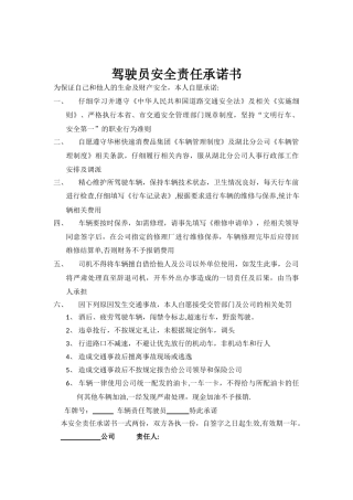 2025年驾驶员安全责任承诺书