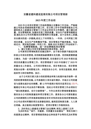 2025年项管部年终总结