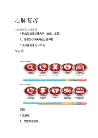 2025心肺复苏知识培训
