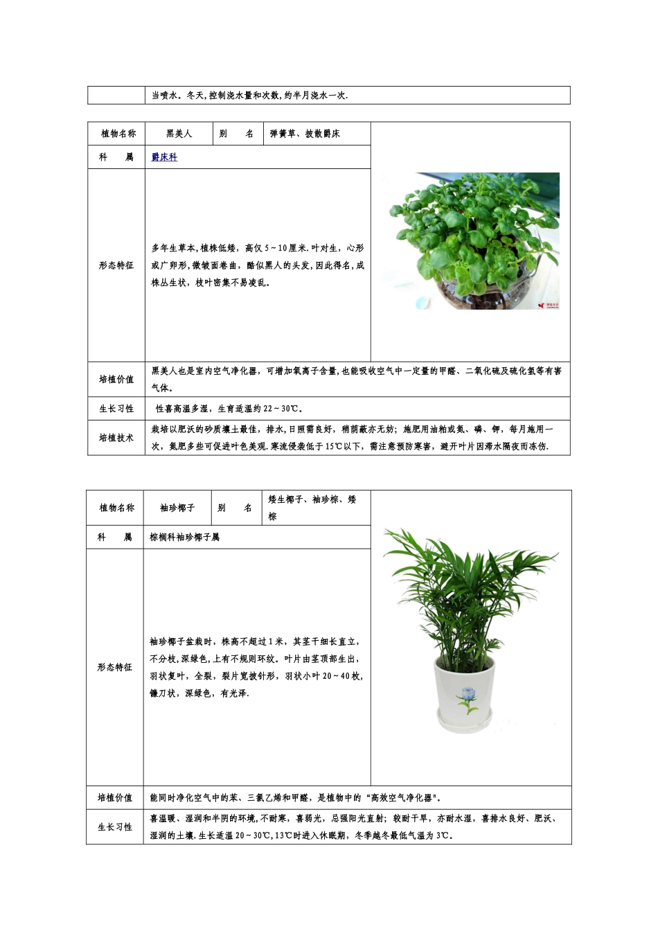 50种常见室内绿化植物介绍_第3页
