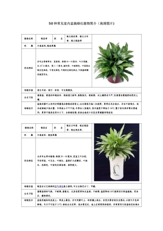 50种常见室内绿化植物介绍