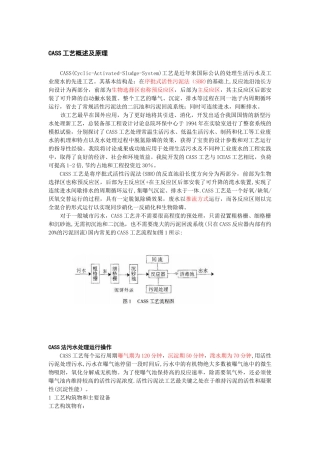 CASS工艺概述及原理