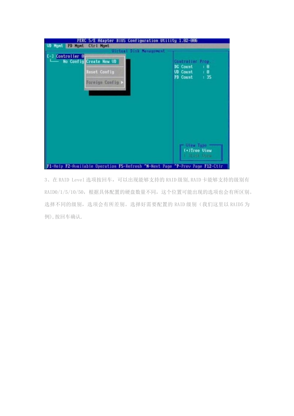 DELL服务器BIOS的RAID做法及热备盘_第3页