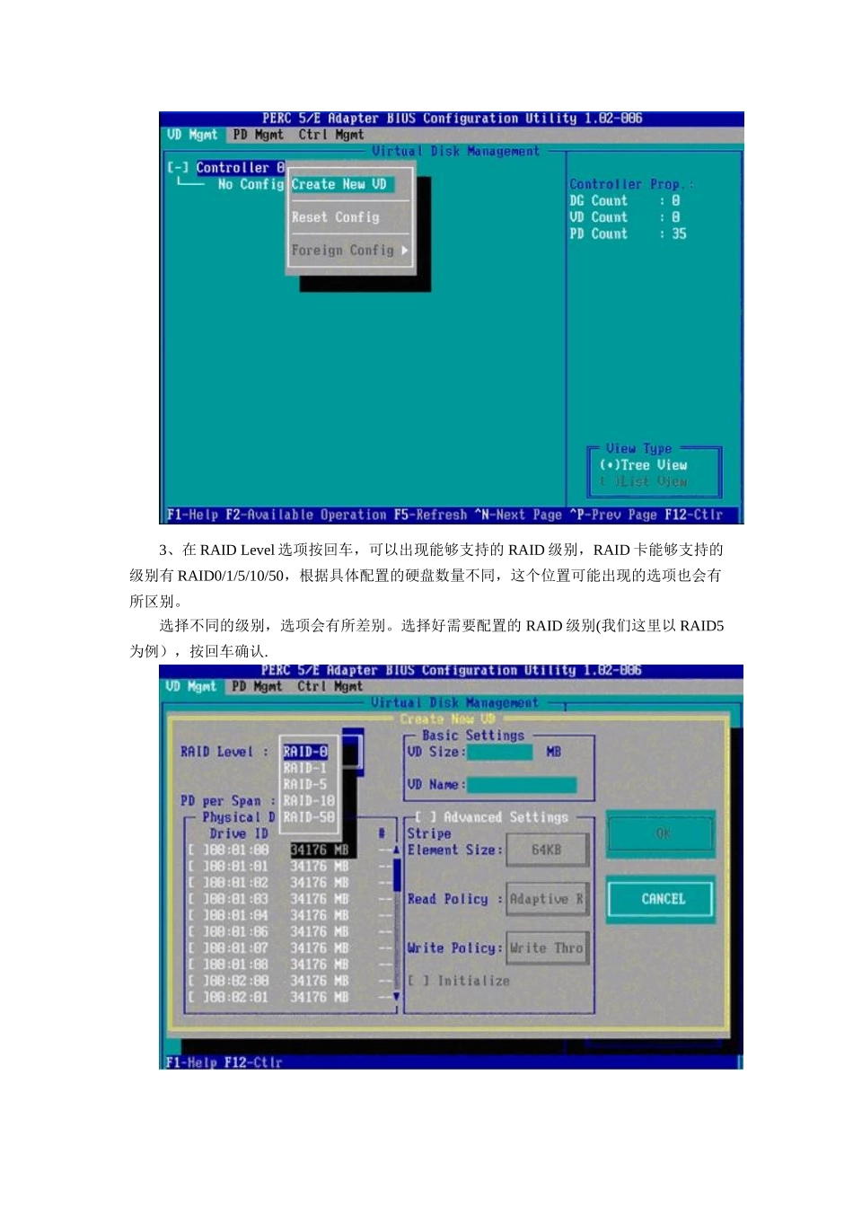 DELL服务器RAID配置详细教程_第2页
