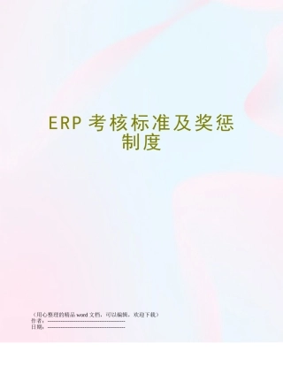 ERP考核标准及奖惩制度
