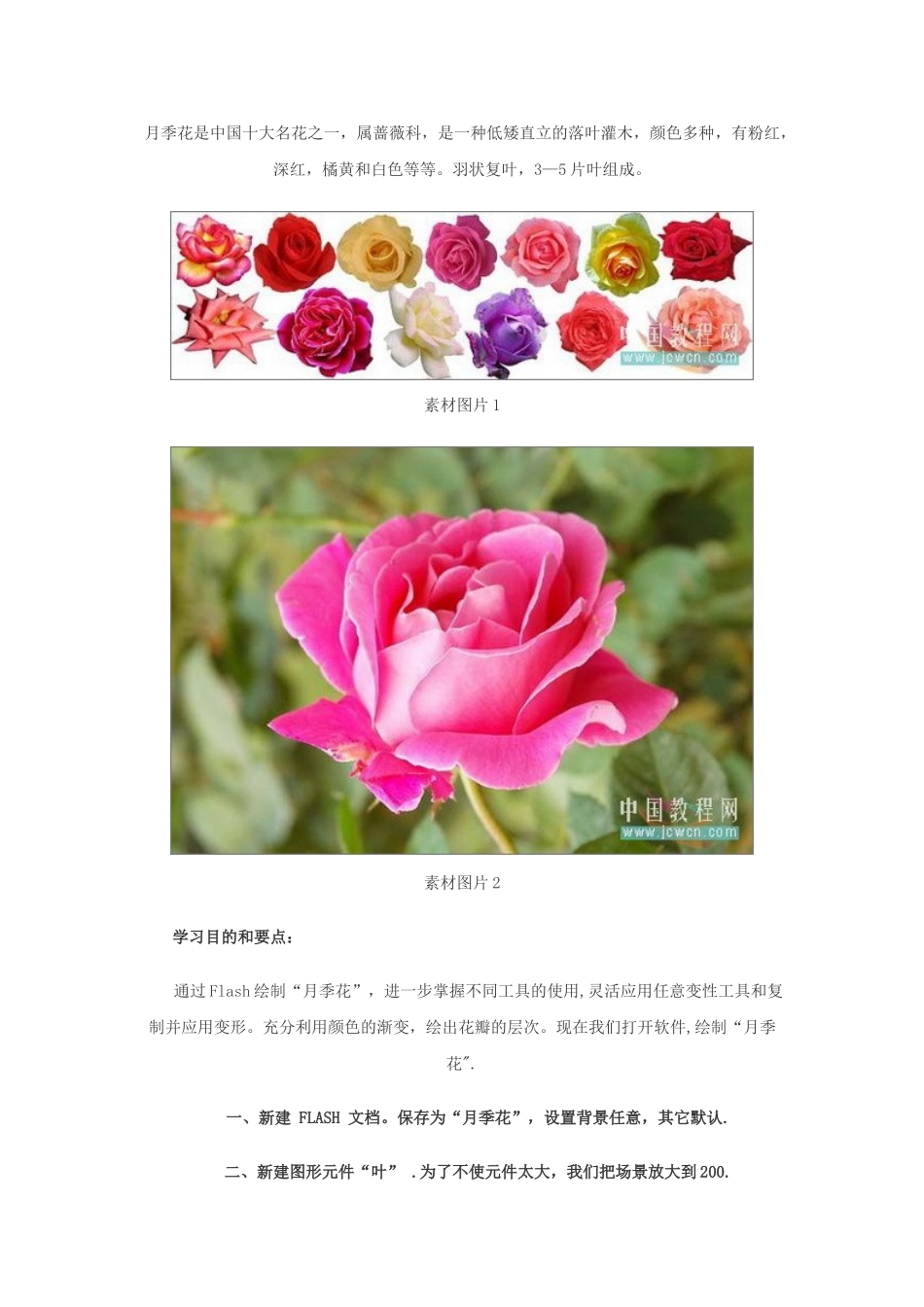 Flash鼠绘入门第九课：绘制漂亮月季花_第1页