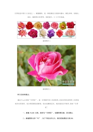 Flash鼠绘入门第九课：绘制漂亮月季花