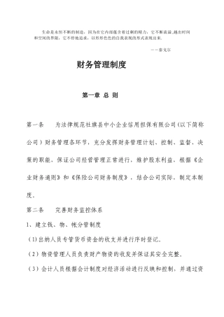 Iqggca担保公司财务制度