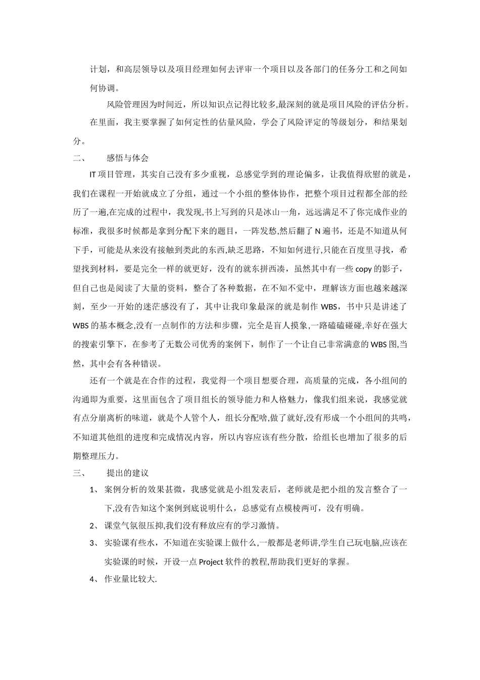 IT项目管理总结报告_第2页