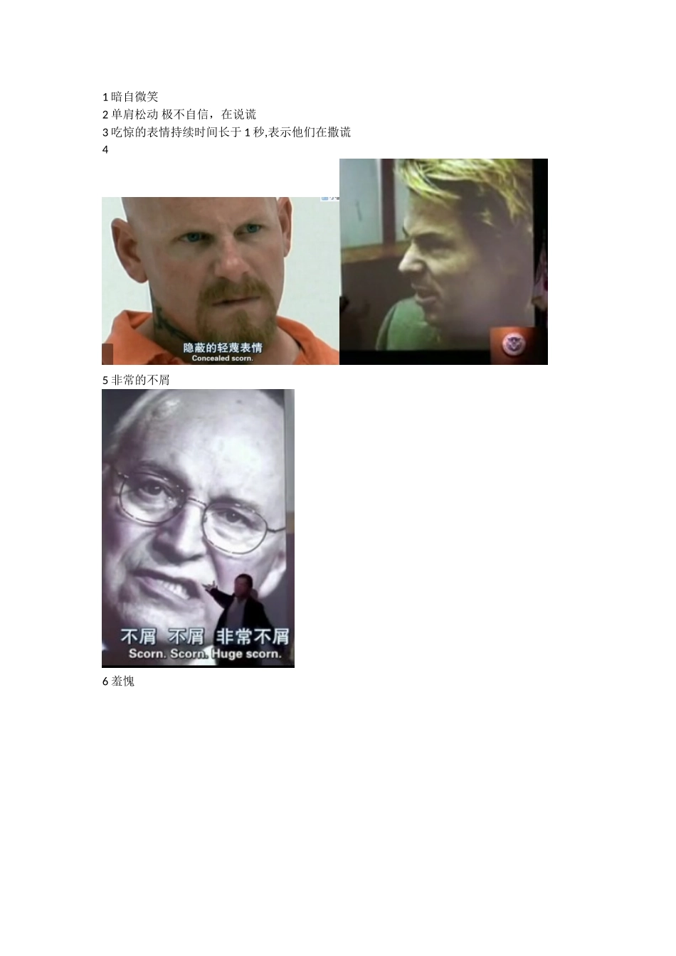 lie-to-me微表情动作识别汇总_第1页