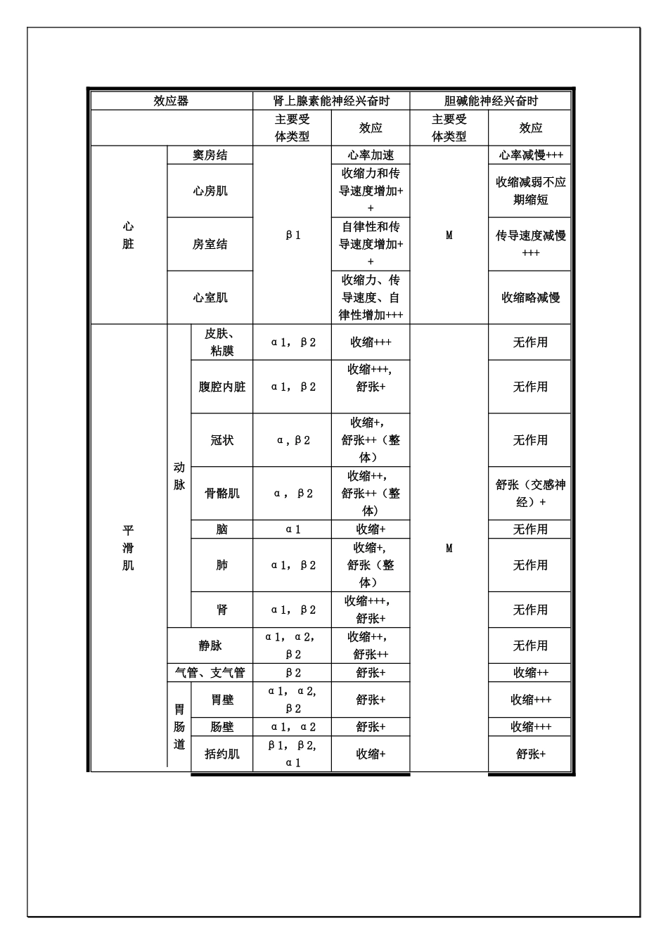 M、N、α、β受体图表详解及用药_第2页