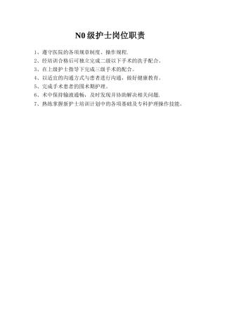 N0级护士岗位职责