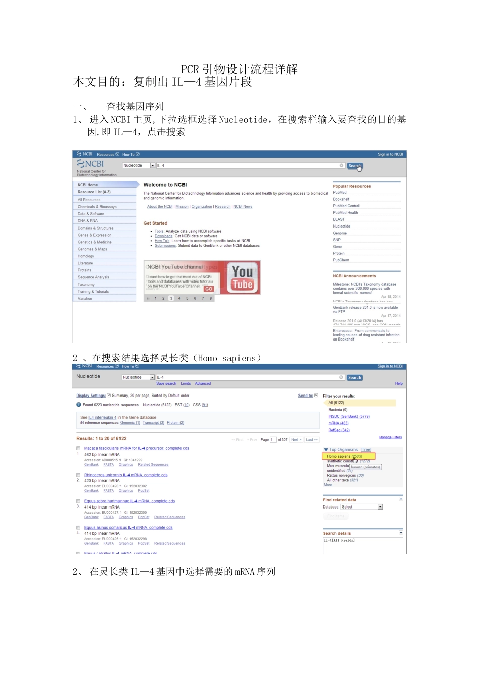 PCR引物流程设计详解_第1页